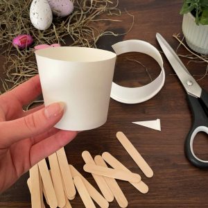 Abgeschnittener Pappbecher bis zur Hälfte gekürzt